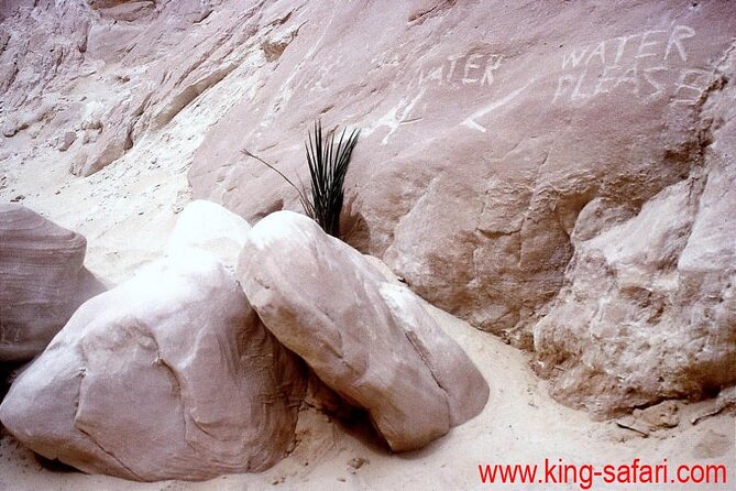 1-Day Jeep Excursion from Dahab to Small Colored Canyon - Tea, Rock, and the Ride Back to Dahab