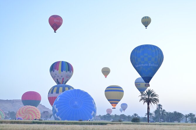 1 Day Private Tour with Hot Air Balloon from Hurghada to Luxor - Hatshepsut’s temple and the Colossi of Memnon