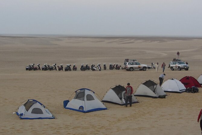 2 Day Bahariya Oasis White Desert Tour - Black Desert, Crystal Mountain, and changing colors