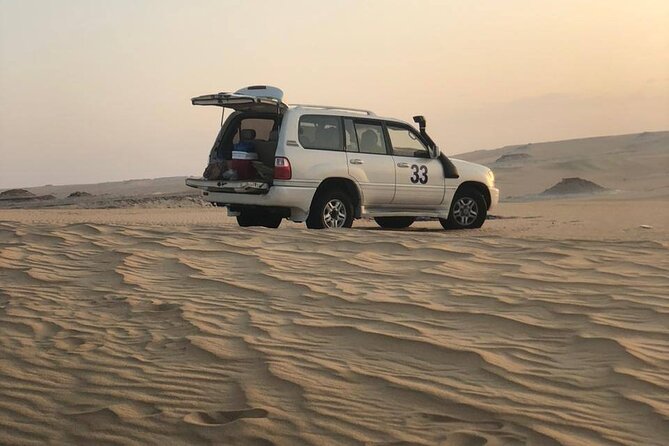 2-Day Egypt Desert Rose Tour - New White Desert and the evening camp