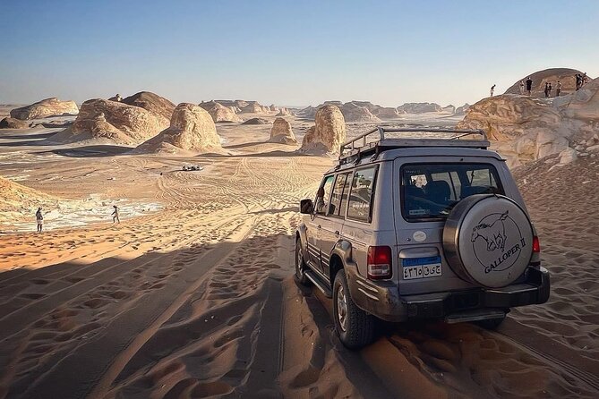 2 Days 1 Night to White and Black Desert from Cairo or Giza - The 6:00 am departure and the road to Bahariya