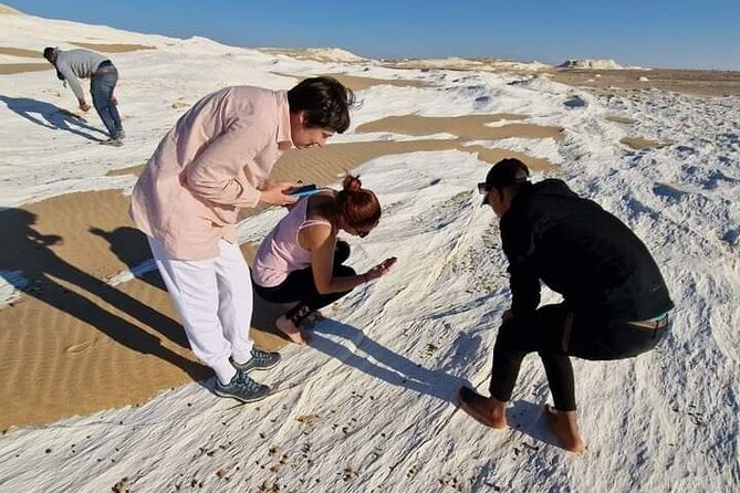 2 Days 1 Night to White and Black Desert from Cairo or Giza - Is $150 good value?
