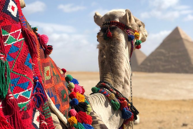 2 days cairo and giza attractions plus Gem, private tour - Day Two Begins at the Grand Egyptian Museum