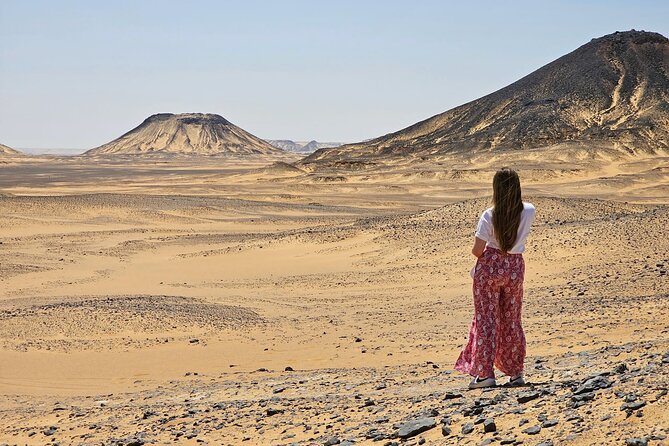 2 Days White Desert and Bahariya Oasis Tour - What the $325 price really covers