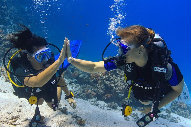 2-Dive adventure-Safe & Top-rated boat for Certified Divers - The 8:00 am pickup and marina arrival