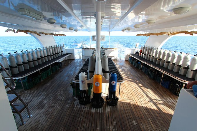 2-Dive adventure-Safe & Top-rated boat for Certified Divers - The second site around 2:00 pm