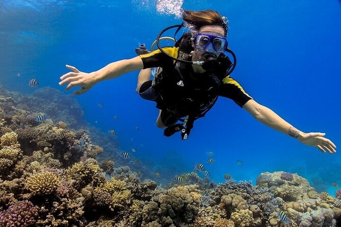 2 Dive Stops Intro Scuba Diving With Lunch & Transfer - Hurghada - Key points at a glance