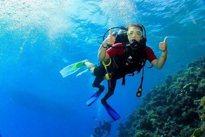 2 Dive Stops Intro Scuba Diving With Lunch & Transfer - Hurghada - What the $21 price really buys you