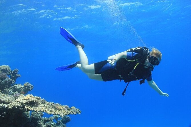 2 Dive Stops Intro Scuba Diving With Lunch & Transfer - Hurghada - The second reef is where the day may click