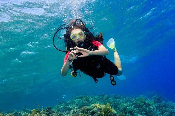 2 Dive Stops Intro Scuba Diving With Lunch & Transfer - Hurghada - Who will get the most from this Hurghada outing?