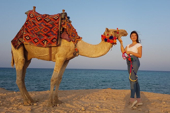2 hours Camel Riding at Amazing Desert & Sea With Transfer - Hurghada - Key points to know before you book