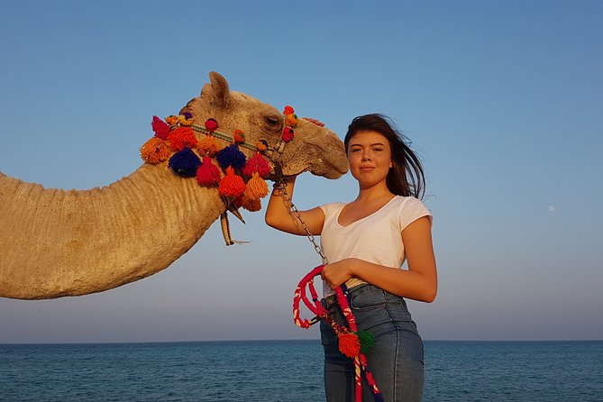 2 hours Camel Riding at Amazing Desert & Sea With Transfer - Hurghada - What the three-hour outing actually includes