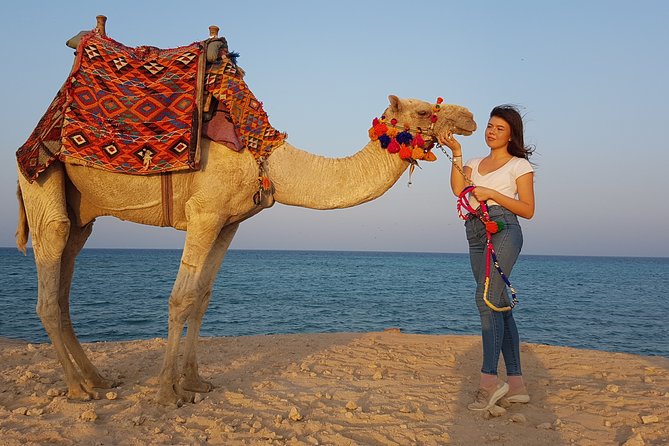 2 hours Camel Riding at Amazing Desert & Sea With Transfer - Hurghada - What the $15 price really buys you