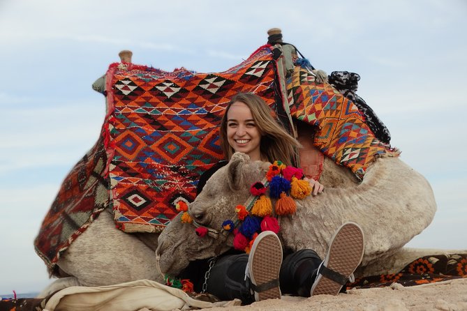 2 hours Camel Riding at Amazing Desert & Sea With Transfer - Hurghada - Meeting the camels and learning the basics