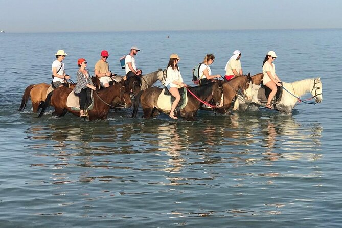 2 hours Horse Riding on The Sea and Desert- Hurghada - Key points to know before booking