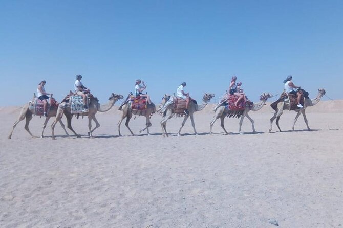 2 hours Horse Riding on The Sea and Desert- Hurghada - What this Hurghada horse ride actually includes