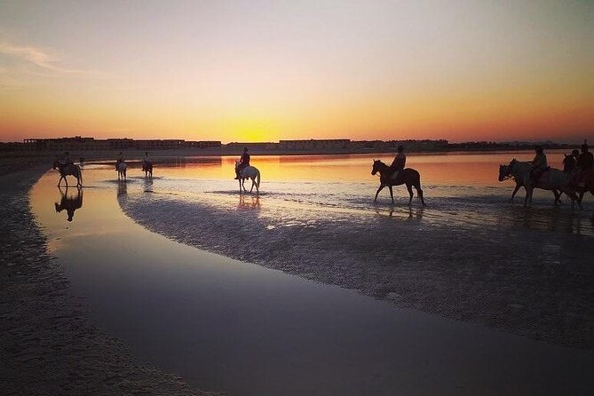 2 hours Horse Riding on The Sea and Desert- Hurghada - Riding toward the Red Sea