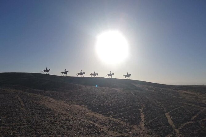 2 hours Horse Riding on The Sea and Desert- Hurghada - Horses, safety, and animal welfare