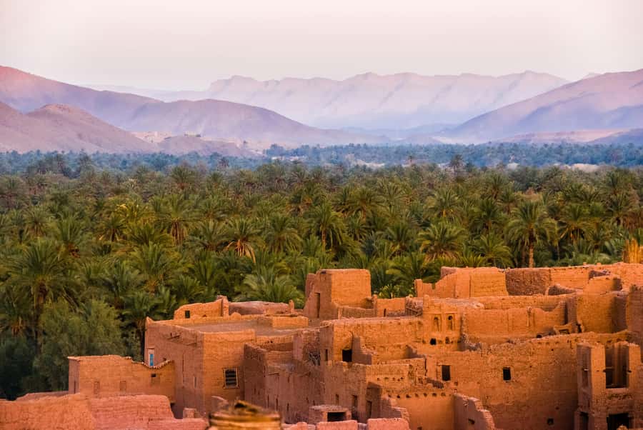 2 Nights 3 Days at Siwa Oases camp from Cairo - Day three: an efficient return to Cairo