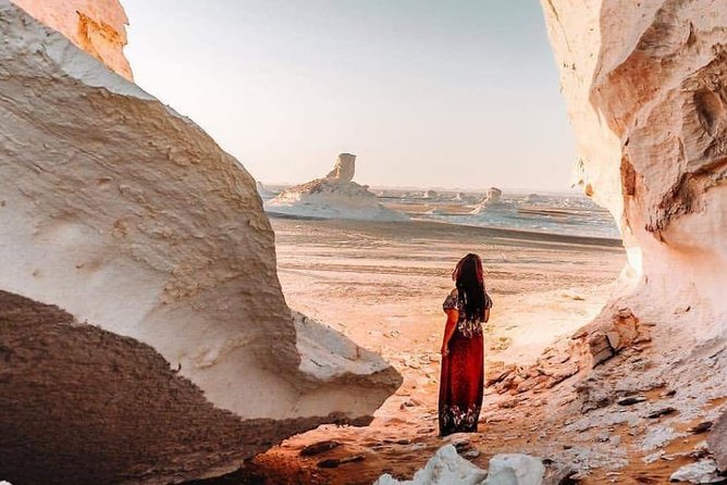 3 Days 2 Nights White Desert and Bahariya Oasis Tour - What the $259 price includes