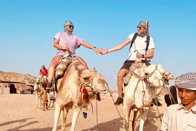 3 Hour ATV Quad Adventure in Hurghada - The camel ride adds a slower moment