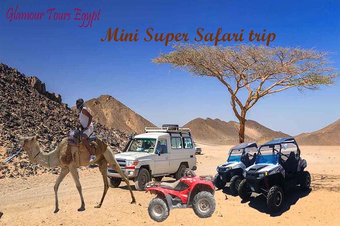 3 hours Mini Super Safari (Family Safari) - Key details to know before you book