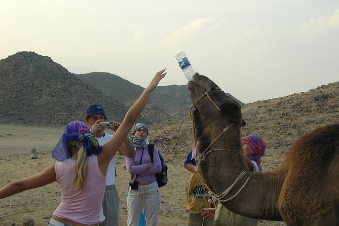 3 hours Mini Super Safari (Family Safari) - A 4x4 Jeep ride to the Bedouin camp