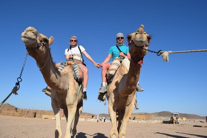 3 hours Quad bike driving - Three hours of quad biking in the Eastern Desert
