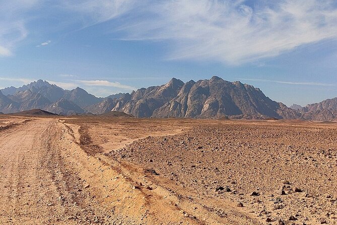 3 Hours Quad Riding, Bedouin Village and Camels in Hurghada - Returning across the sand