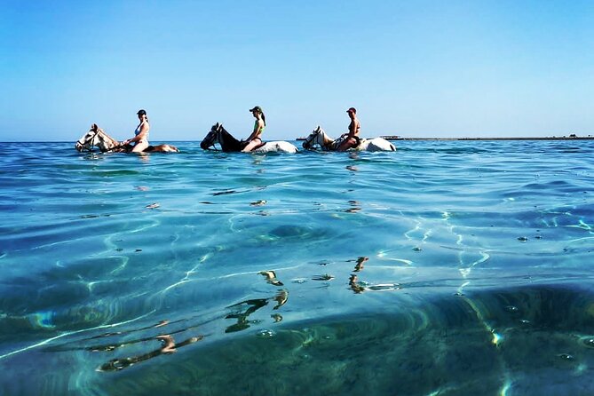 3 Hours Swimming By Horse in Red Sea Riding on the Beach and Dessert - Hurghada - The Desert Ride: A Gentle Start for Most Riders