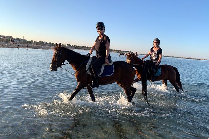 3 Hours Swimming By Horse in Red Sea Riding on the Beach and Dessert - Hurghada - The Beach Section and the Photo Problem