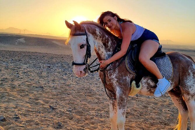 3 Hours Swimming By Horse in Red Sea Riding on the Beach and Dessert - Hurghada - Swimming With the Horse in the Red Sea