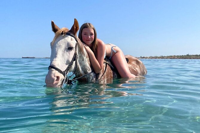 3 Hours Swimming By Horse in Red Sea Riding on the Beach and Dessert - Hurghada - Safety, Comfort, and Riding Ability