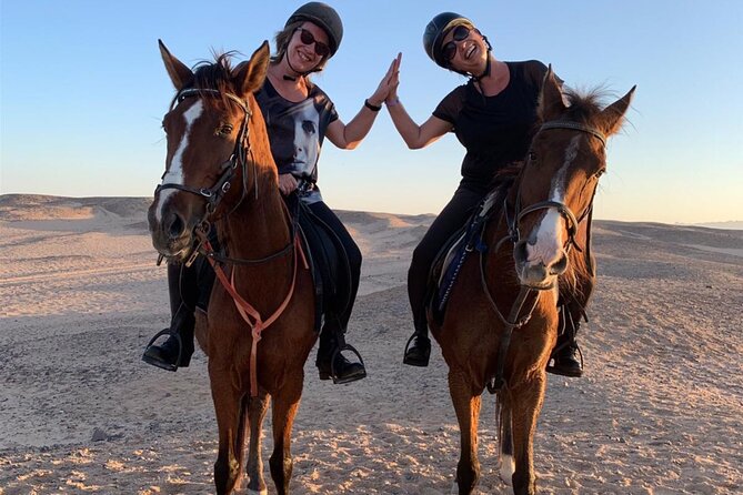 3 Hours Swimming By Horse in Red Sea Riding on the Beach and Dessert - Hurghada - Who Will Enjoy This Most?
