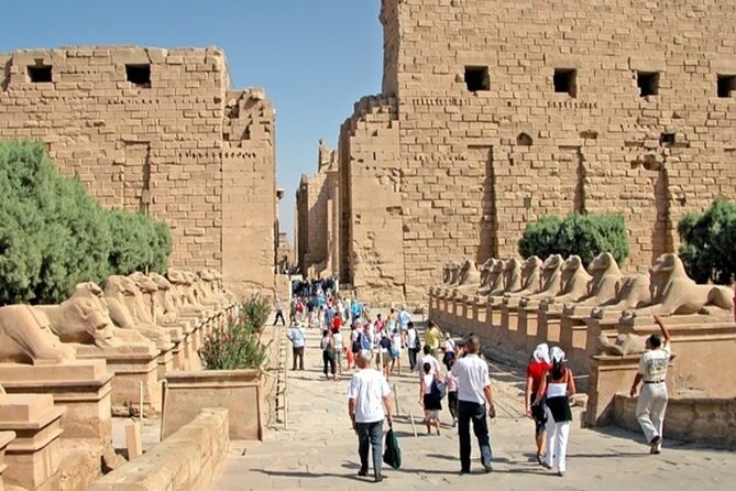 3 Night Nile Cruise from Luxor to Aswan with Sunrise Hot Air Balloon Ride - The long morning at Abu Simbel