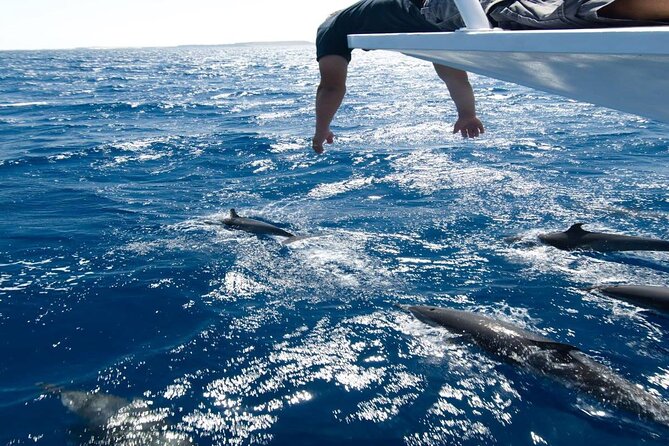 4-Hour Private Speedboat to See Dolphins from Hurghada - Price, extra charges, and overall value