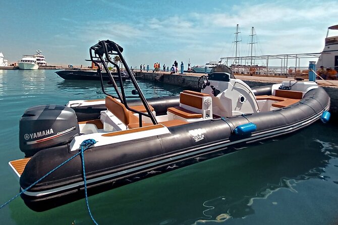 4-Hour Private Speedboat to See Dolphins from Hurghada - Who will enjoy this most