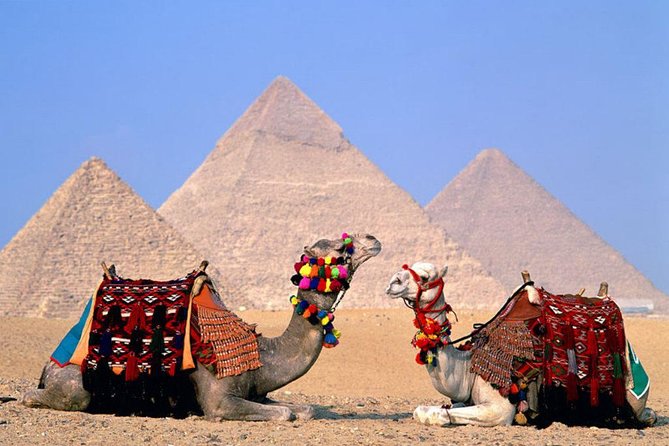 8-Day Private Tour Cairo, Aswan, Luxor and Nile Cruise Including Air Fare - Giza, the Sphinx, and the Egyptian Museum