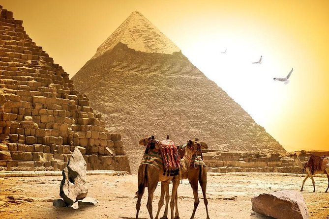 8-Day Private Tour Cairo, Aswan, Luxor and Nile Cruise Including Air Fare - Edfu and the temples of Luxor