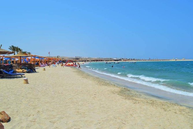 Abu Dabbab over day - Snorkeling in Turtles House - Hurghada - Snorkeling over coral, fish, rays, and turtles