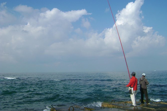Alexandria Day Trip Including Lunch from Cairo - A private ride north from Cairo