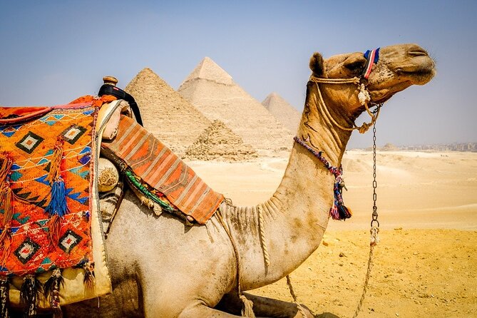 All INC- Pyramids,Camel Ride،(1 hour) four wheeler (ATV)& Lunch - A one-hour camel ride, or possibly 30 minutes