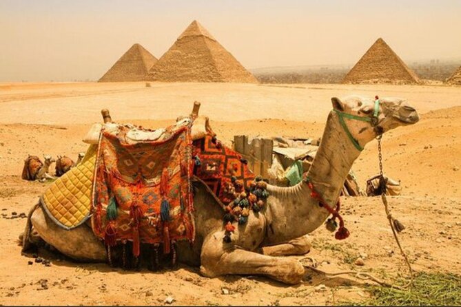 All INC- Pyramids,Camel Ride،(1 hour) four wheeler (ATV)& Lunch - Lunch with a pyramid view