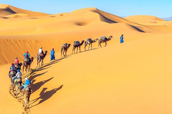 All Inclusive Day Tour To Cairo from Alexandria Port - Giza Pyramids: the heart of the day