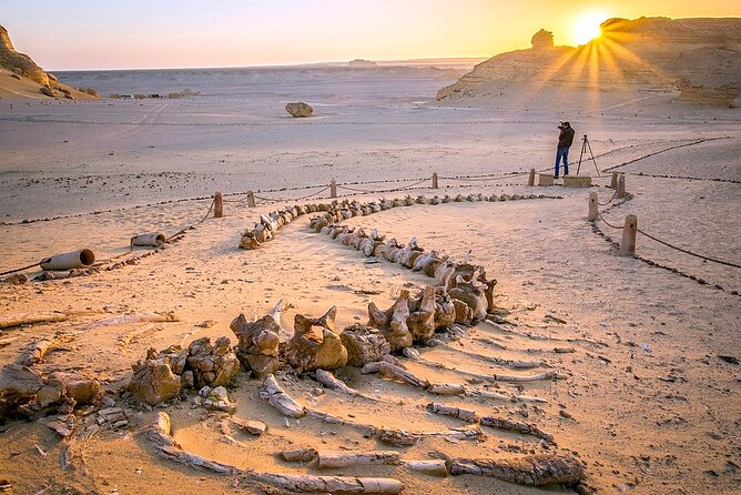 Allinclusive Private Tour Fayoum Oasis & Valley of Wales - Magic Lake and Mount Mudarawa bring the desert into view