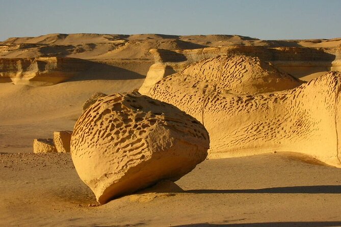 Allinclusive Private Tour Fayoum Oasis & Valley of Wales - Lunch beside the lake is part of the value