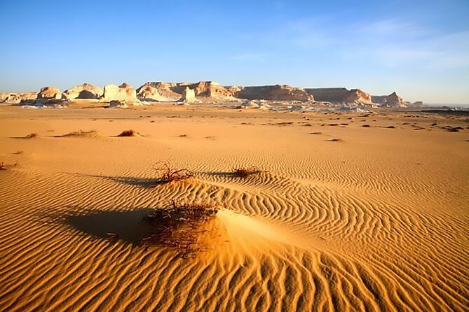 Allinclusive Private Tour Fayoum Oasis & Valley of Wales - Tunis Village adds a human touch