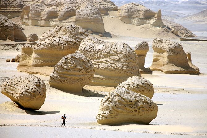 Allinclusive Private Tour Fayoum Oasis & Valley of Wales - A private Cairo pickup keeps the day simple
