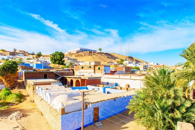 Aswan: Private Tour to Philae Temple and Nubian Village By Boat & Entrance Fees - How the $99 price measures up