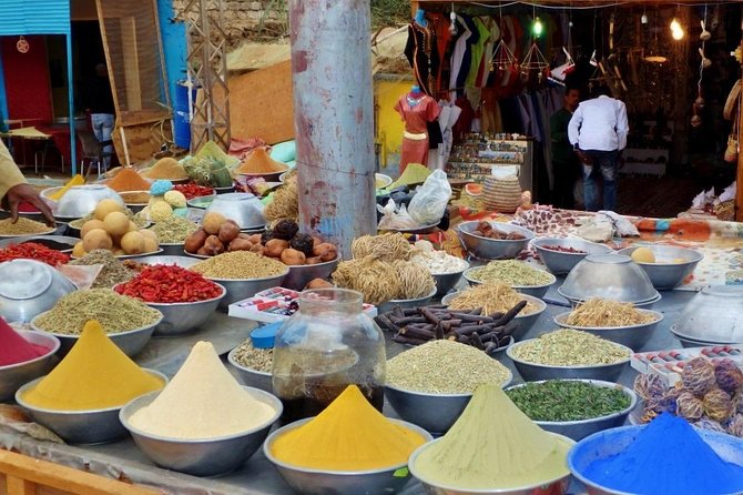 Aswan: Private Tour to Philae Temple and Nubian Village By Boat & Entrance Fees - The guide can turn a good outing into a great one